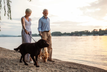 Shot of a happy senior couple walking with their dogs by the river.